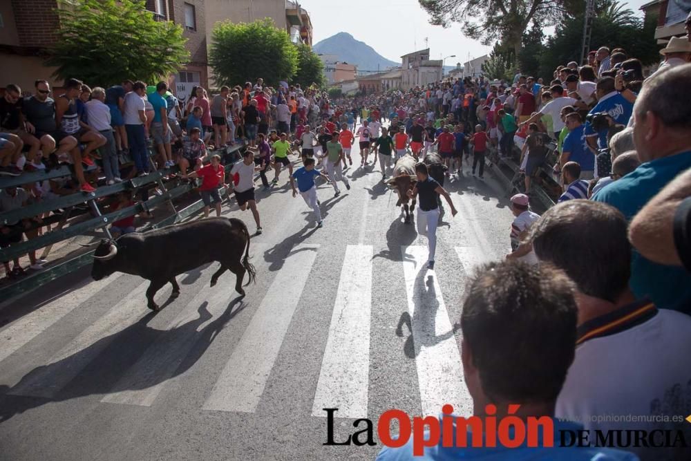 Segundo encierro de Calasparra