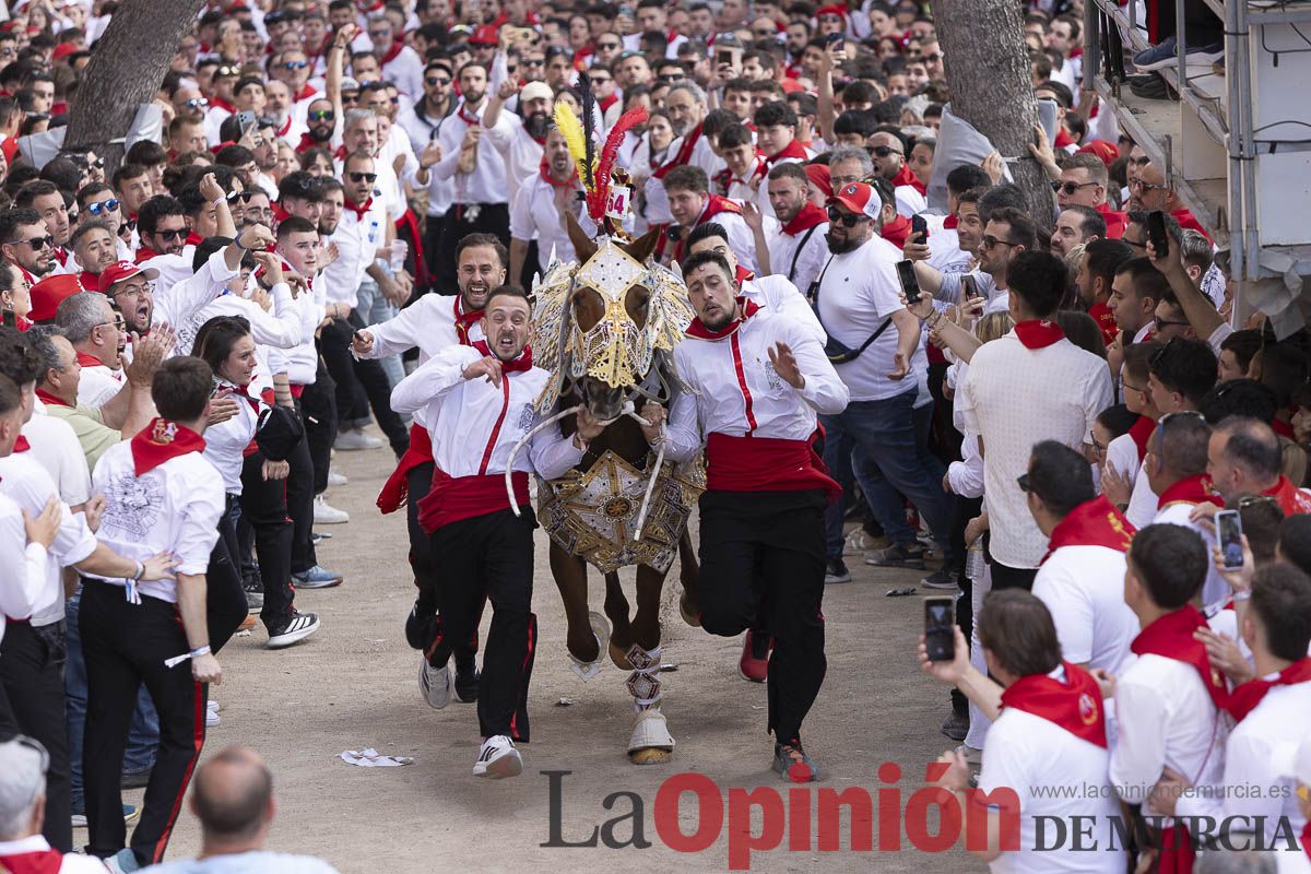 Así se ha vivido la carrera de Los Caballos del Vino en Caravaca