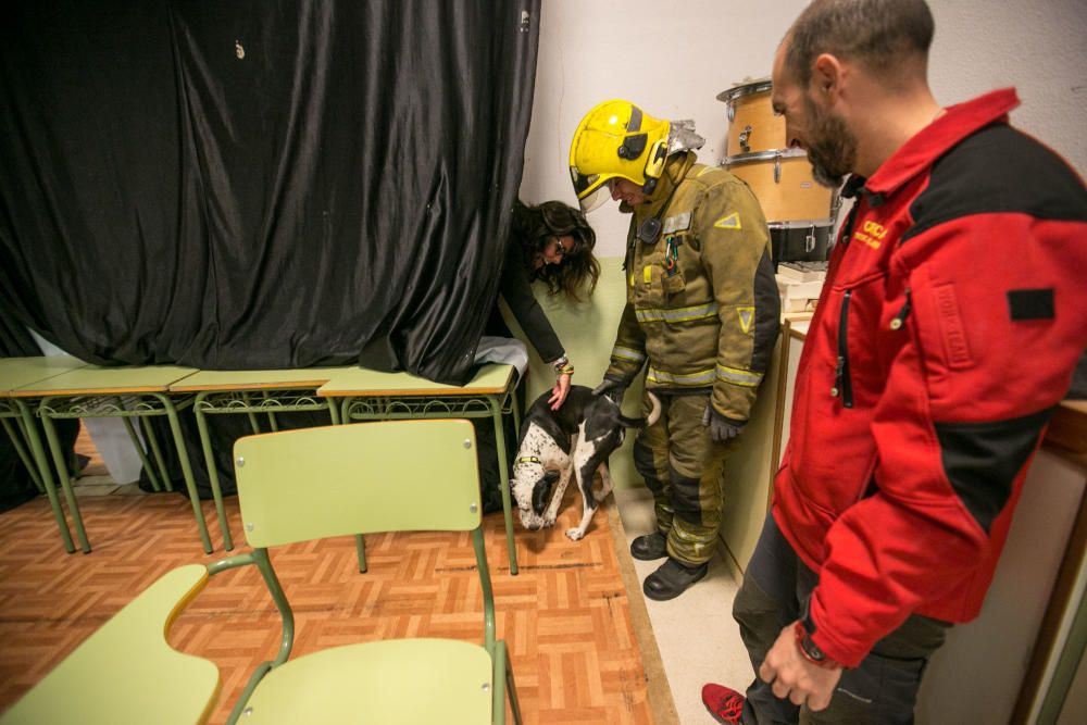 Simulacro de terremoto en el colegio Luis Vives