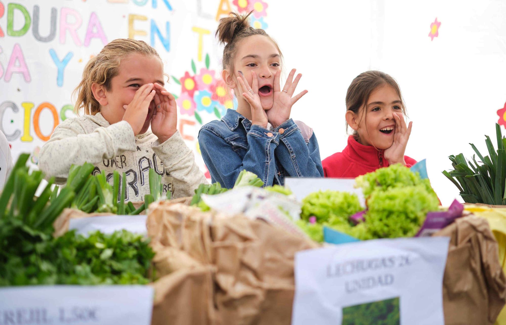 X Feria de Cooperativas Escolares en Tenerife