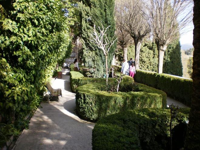 Jardín de los Adarves, espacios recuperados por la naturaleza