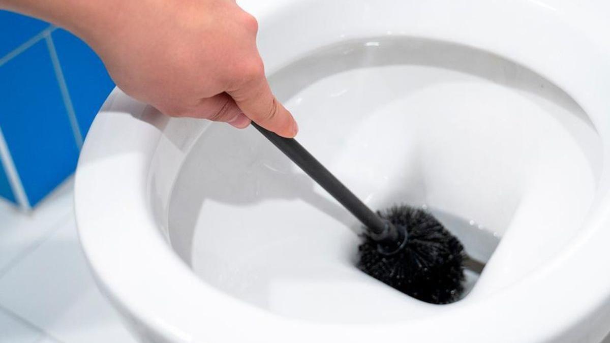 Adiós a la escobilla del váter así puedes librarte de uno de los elementos menos higiénicos del baño