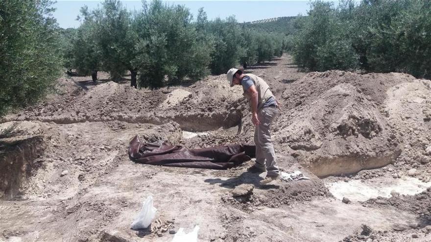 Los trabajos en una fosa de Castro del Río concluyen con doce cuerpos exhumados