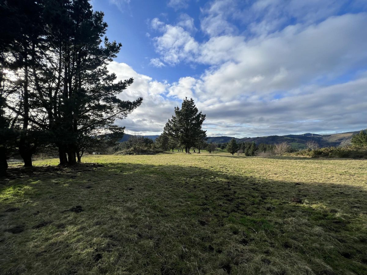 Los terrenos donde se proyecta el circuito, en la cima de El Viso.