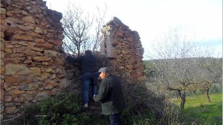 La zona de Viver está siendo analizada palmo a palmo.