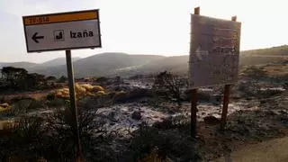 La contención en El Rosario evitó que el incendio de Tenerife acabara en tragedia