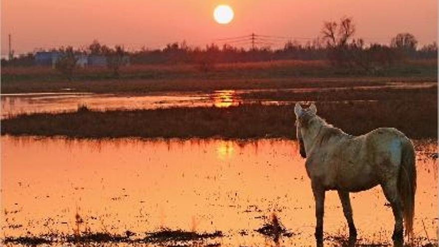 La primera posta de sol de l&#039;hivern des de l&#039;Empordà