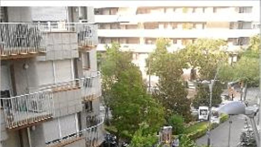 Un camió d&#039;escombraries arrenca un arbre al carrer Santa Eugènia