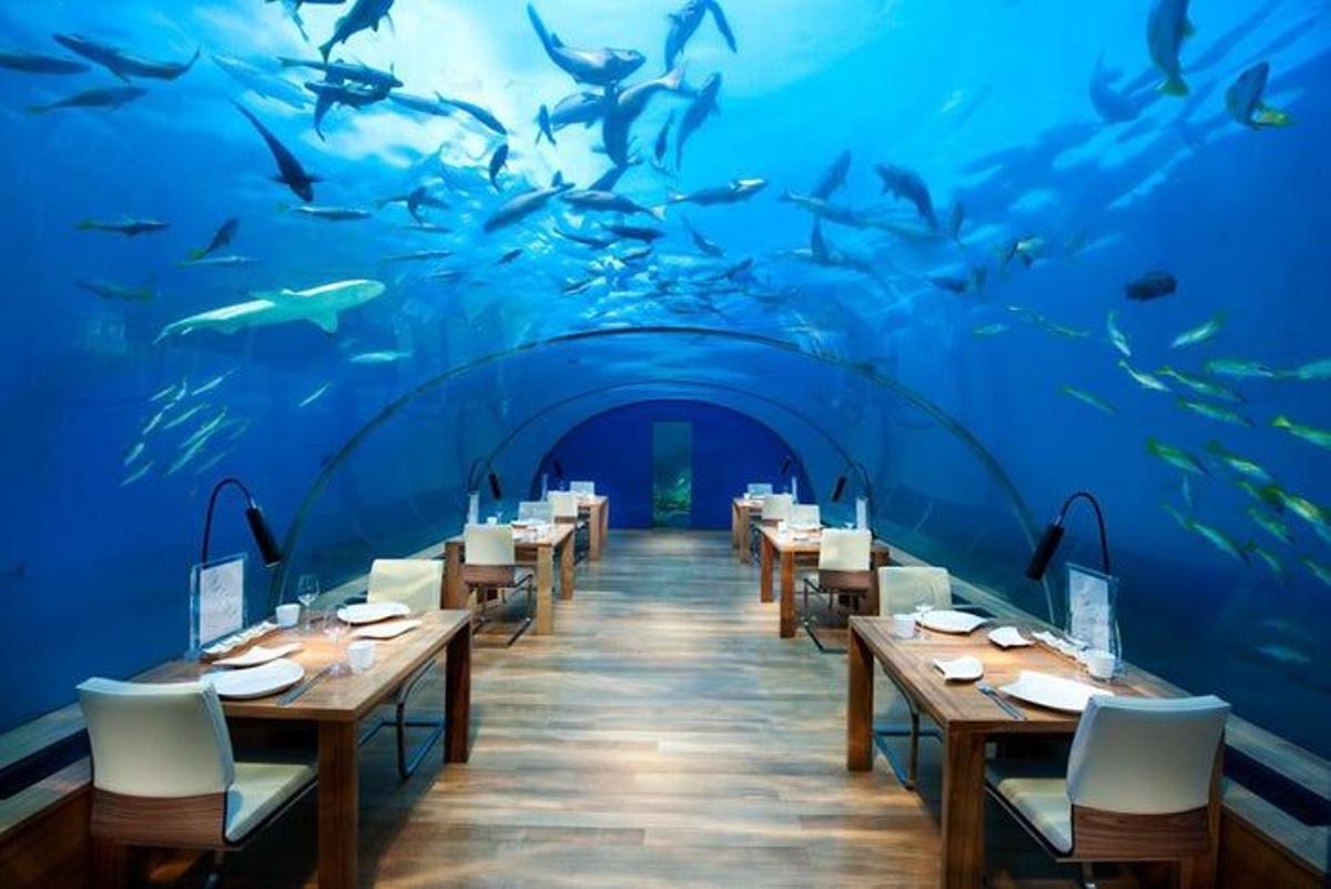 Ithaa Undersea Restaurant - Isla Rangali, Maldivas