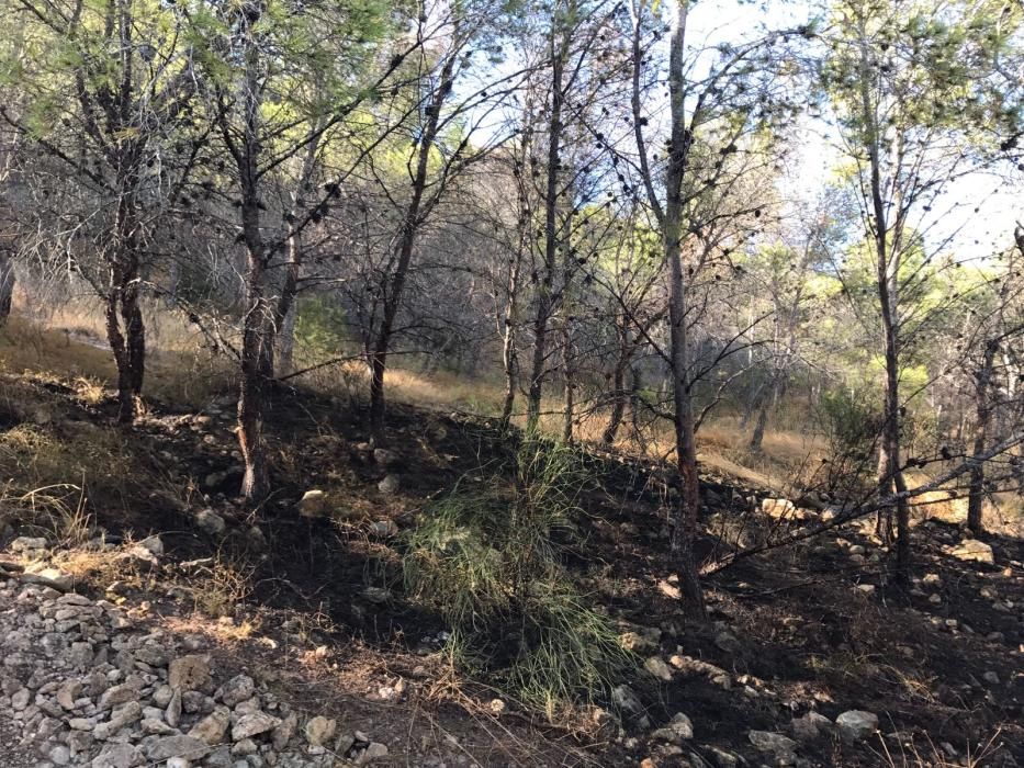 Pequeño incendio forestal en la Serra Grossa