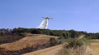 Un incendio forestal originado accidentalmente moviliza 13 medios en Manganeses de la Polvorosa