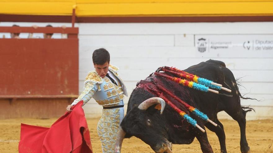 Gran novillada de Baltasar Ibán en Algemesí