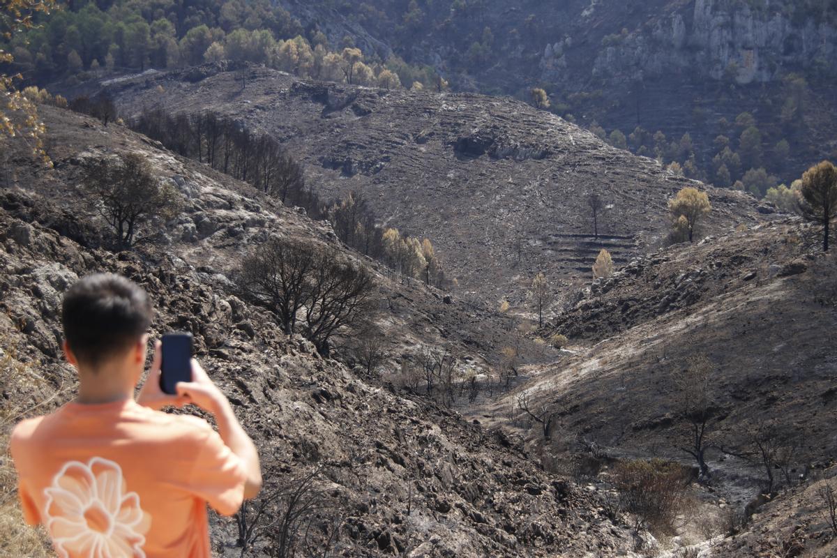 La montaña de Margarida, la pedanía de Planes arrasada por las llamas del incendio de agosto de 2022.