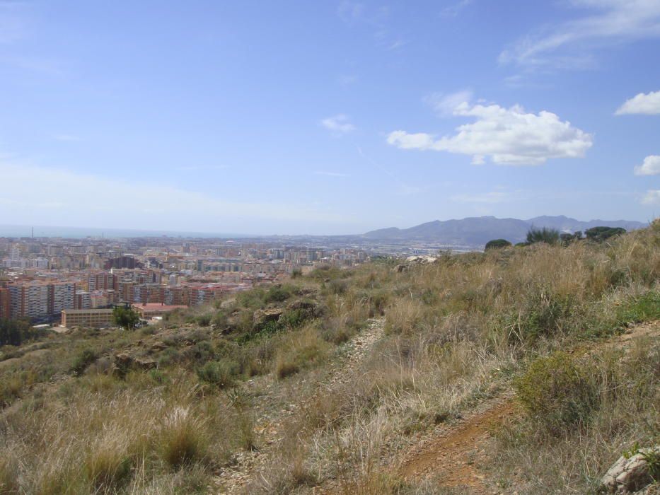 Subida Monte Coronado