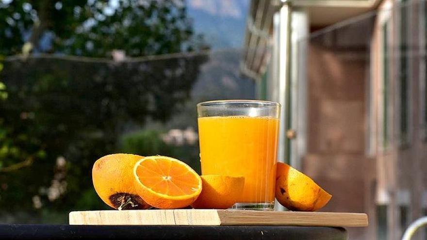 Un zumo de naranja  de récord Guinness en Sóller