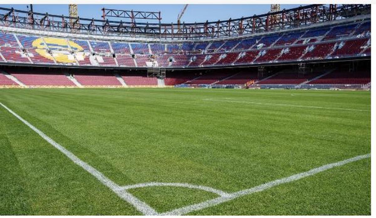 Una imagen del césped del nuevo Camp Nou. Una imagen del césped del nuevo Camp Nou.