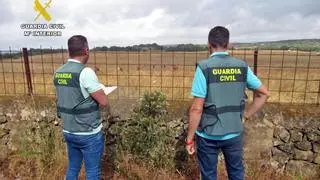 La Guardia Civil desarticula un entramado de estafas a ganaderos de Olivenza y alrededores