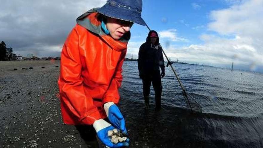 Las mariscadoras detectaron una gran mortandad.  // Iñaki Abella