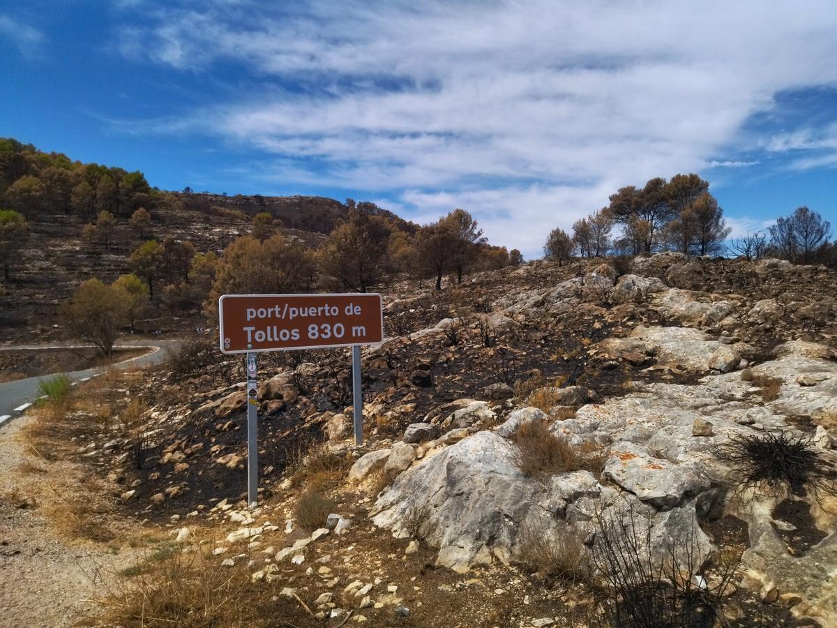 El puerto de Tollos en una imagen tomada tras el incendio que arrasó 12.150 hectáreas de las montañas de la Marina Alta y el Comtat