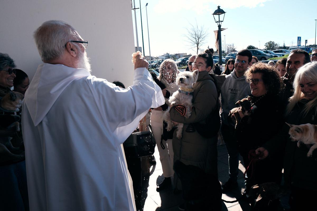 Churriana celebra la bendición de San Antón Churriana celebra la bendición de San Antón