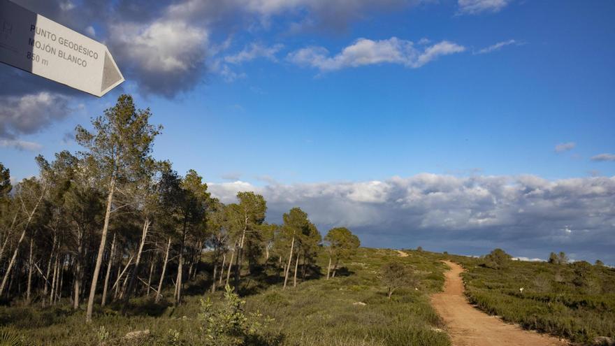 Promueven un tercer parque eólico en la Costera en una zona prioritaria para las aves