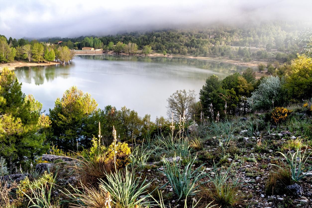 Embalse de La Toba, en la Serranía de Cuenca.