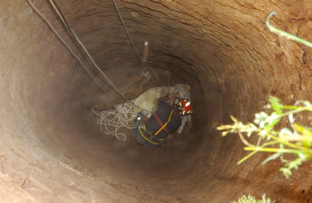 Un rescate que puede salvar otras vidas