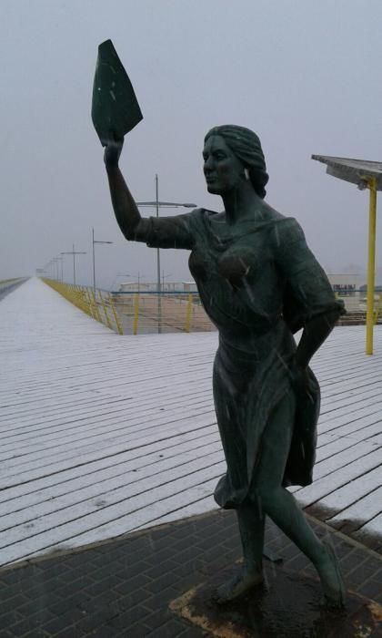 Una fina capa de nieve ha cubierto las playas, los techos de los vehículos, zonas verdes y tejados de Torrevieja, Orihuela Costa y Pilar de la Horadada