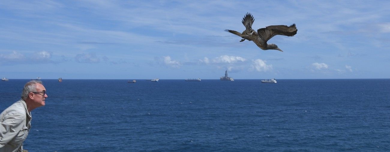 Suelta de un alcatraz en La Laja