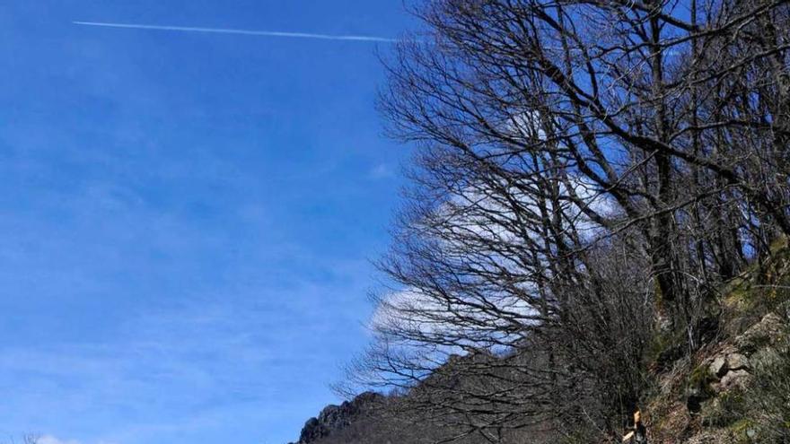 Un coche pasa junto al nuevo argayo de la carretera de Tarna.