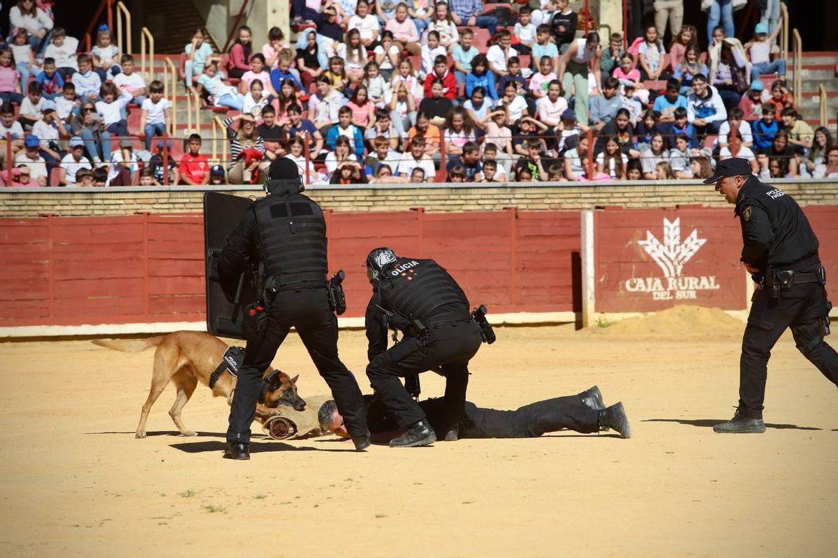 Intervención de un guía canino en un escenario simulado de una detención.