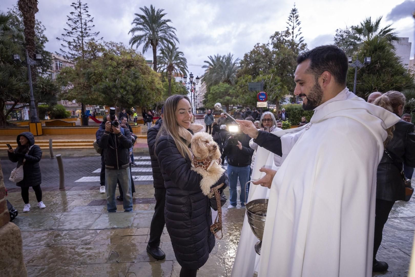 Bendición de animales por San Antón bajo una lluvia invernal en Torrevieja