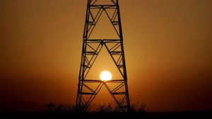 Torre d’alta tensió. | JOSÉ LUIS ROCA
