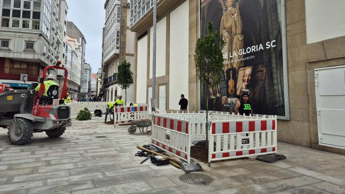 Nuevos árboles en la calle Santa Catalina