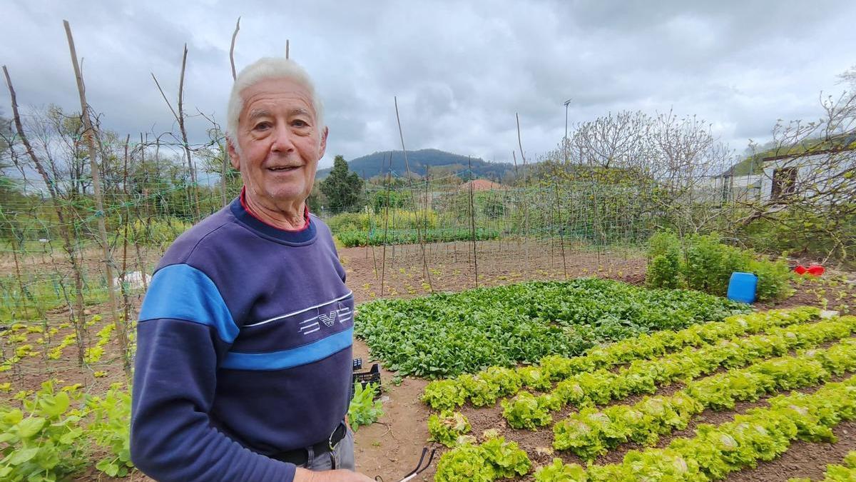 La huerta de Tino (I)