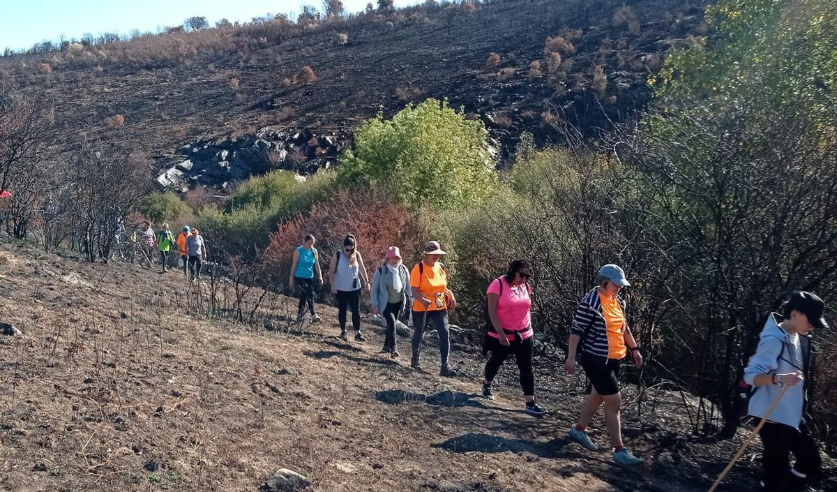 Arriba, vecinos de Riofrío en la zona quemada en 2025. Abajo, Corporación Municipal. | CH. S.