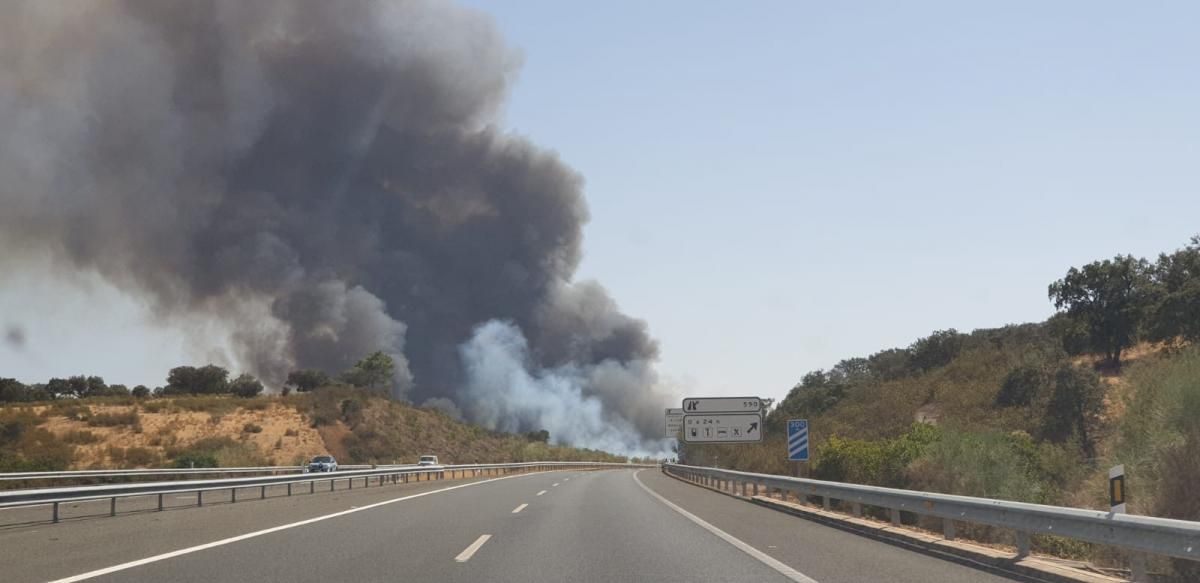 El incendio de ayer en Alcuéscar, en imágenes