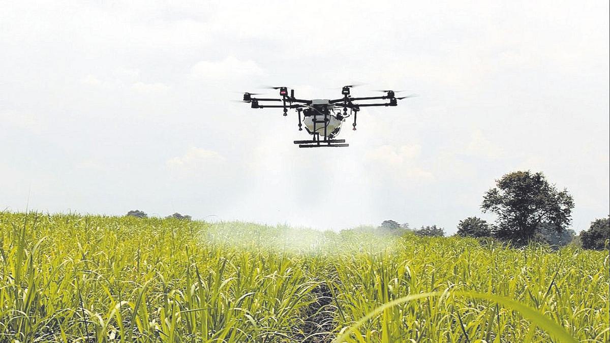 Los Fondos Next Generation EU destinan 53.000 millones de euros para el sector agro en España.