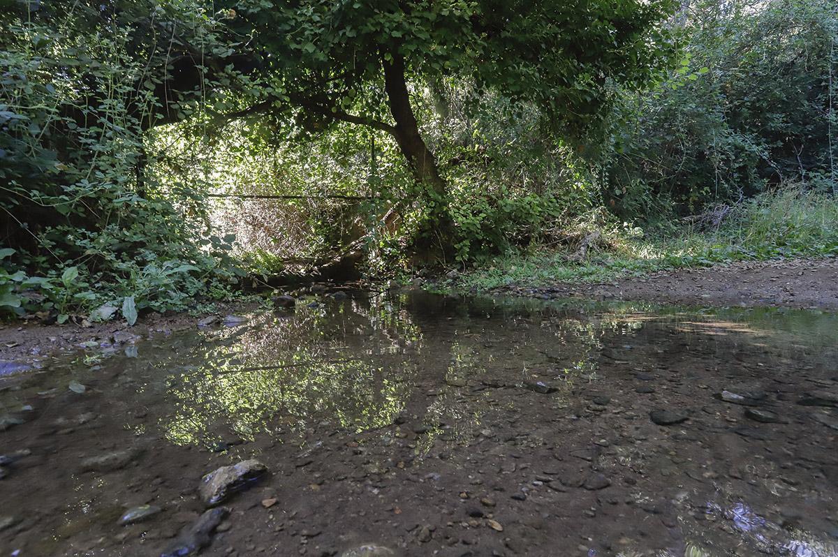 El Arroyo Bejarano