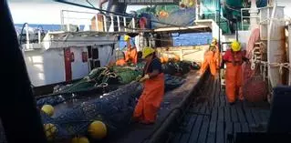 Pescanova prosigue con la reducción de su perímetro y pone en venta la filial Belnova