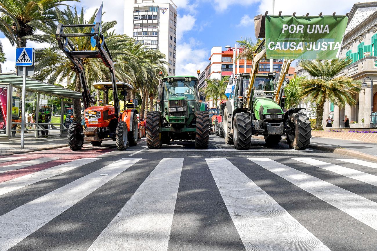 Tractorada del sector primario en Las Palmas de Gran Canaria (21/02/24)