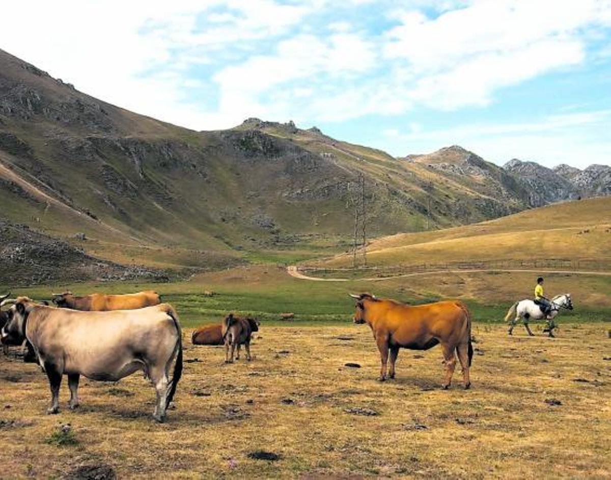 Mieres dejará de estar en Babia