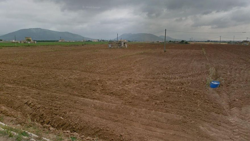 Crece el malestar en sa Pobla por el impacto sobre los campos agrícolas del futuro tren a Alcúdia