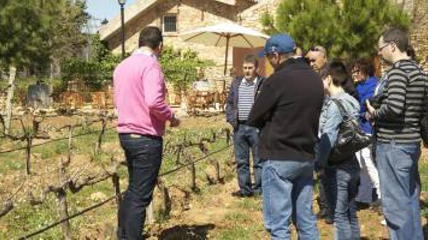 Barón d&#039;Alba inicia las tareas de poda