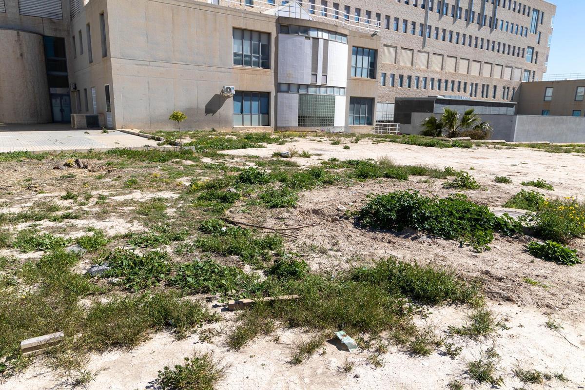 Espacio donde estaba previsto construir el nuevo centro de día de oncología del Hospital de Sant Joan