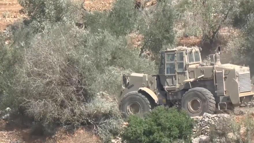 ISRAEL PALESTINA OLIVOS | El Ejército israelí arranca decenas de olivos de familias palestinas antes de la cosecha