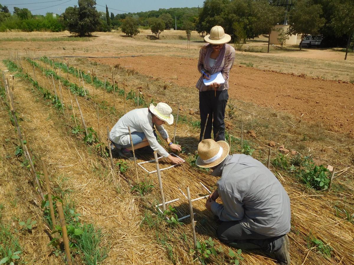 Agricultura ecológica