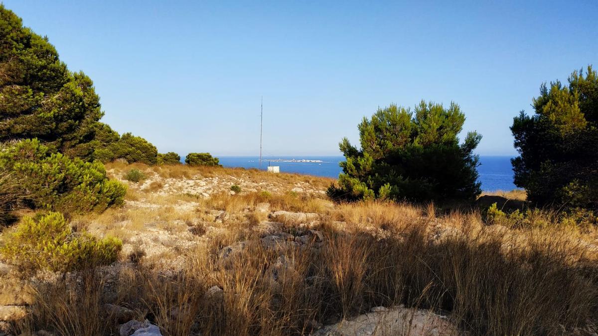 Imagen de la sierra de Santa Pola con Tabarca al fondo