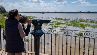 Explican el proceso de "llenado" en Doñana con el agua de lluvia