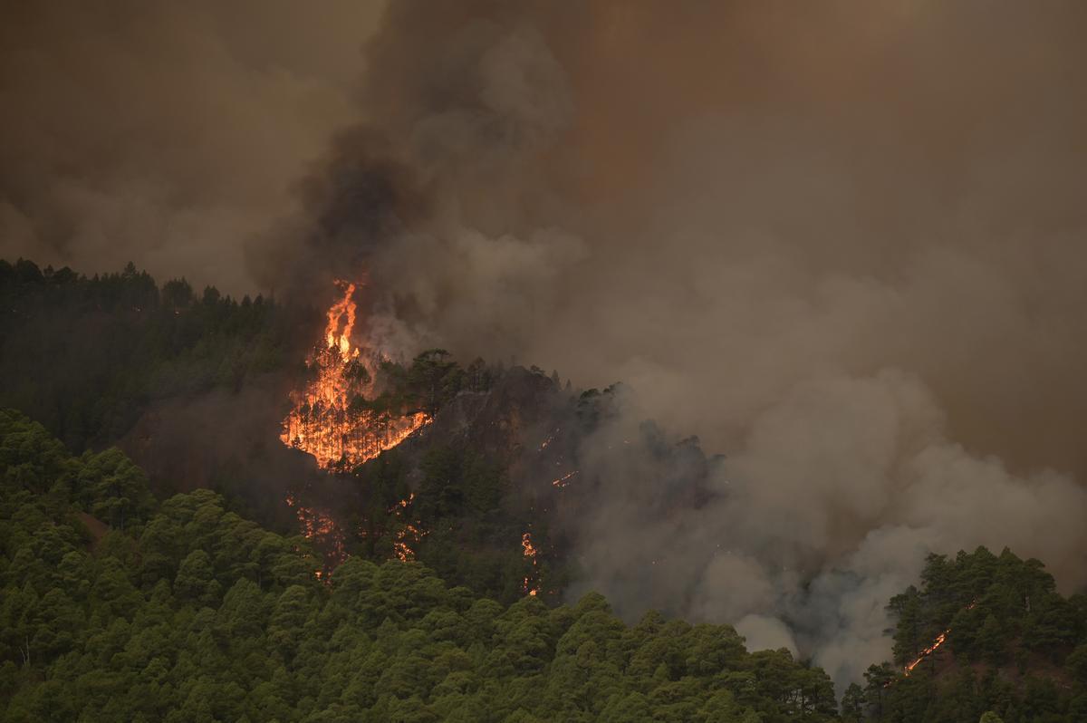 El incendio forestal de Tenerife, sin control